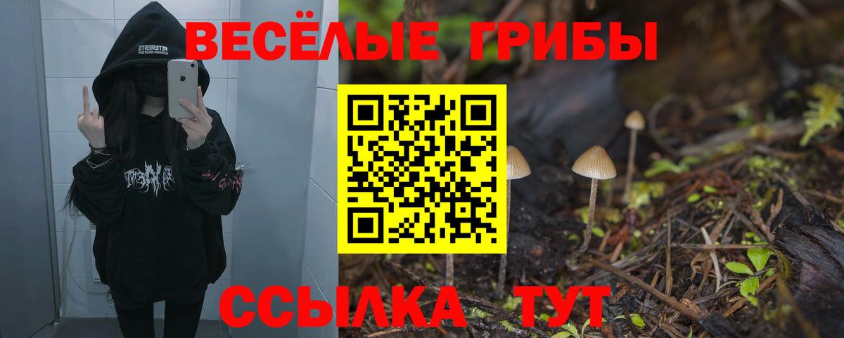 Псилоцибиновые грибы мицелий  Вход с VPN  Гулькевичи  Галлюциногенные грибы прущие грибы 